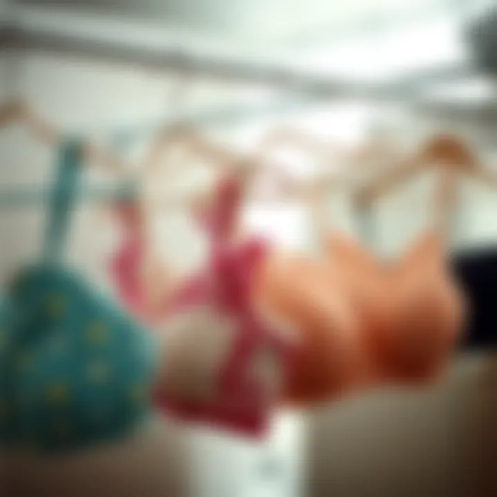 Optimizing Bra Storage: A Comprehensive Guide to Hangers Summary