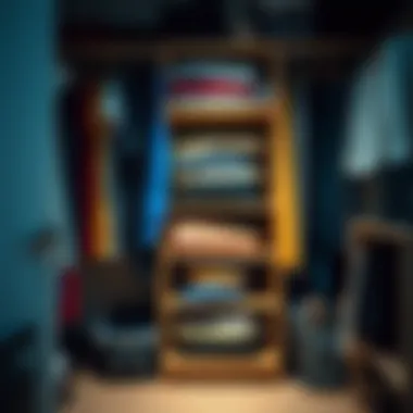 An organized closet displaying neatly packed clothes using compression bags