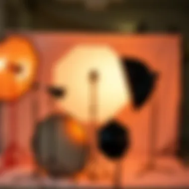 A setup showcasing various reflector types for photography