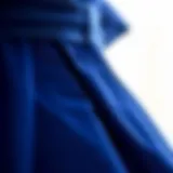 Intricate Fabric Texture of Royal Blue Derby Dress A close-up of the intricate fabric texture of a royal blue derby dress