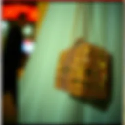 The Allure of the Gold Rhinestone Purse: A Comprehensive Guide Introduction