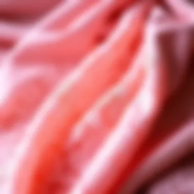 Luxurious Textiles Luxurious fabric swatches showcasing pink lace materials