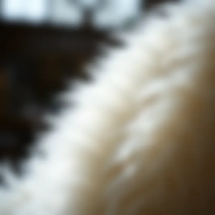 Close-up of luxurious white fur texture highlighting craftsmanship