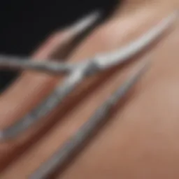 Close-up view of curved eyebrow scissors showcasing intricate design