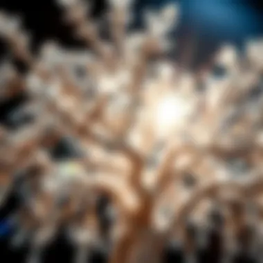 Close-up of crystal branches reflecting light, showcasing beauty