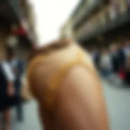 Historical representation of pasties in fashion history