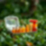 Historical Evolution of Portable Food Containers Historical evolution of portable food containers