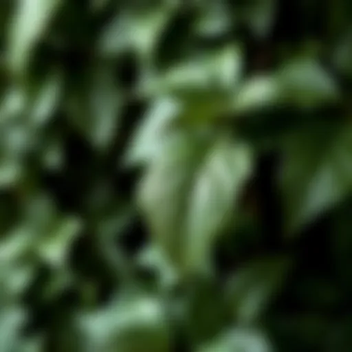 Close-up of realistic faux ivy leaves showcasing intricate details