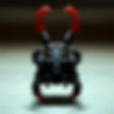 The Massive Claw Clip: A Comprehensive Guide Introduction