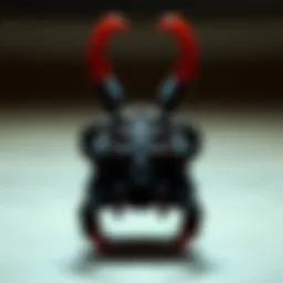 The Massive Claw Clip: A Comprehensive Guide Introduction
