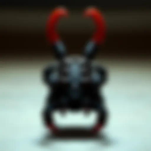 The Massive Claw Clip: A Comprehensive Guide Introduction