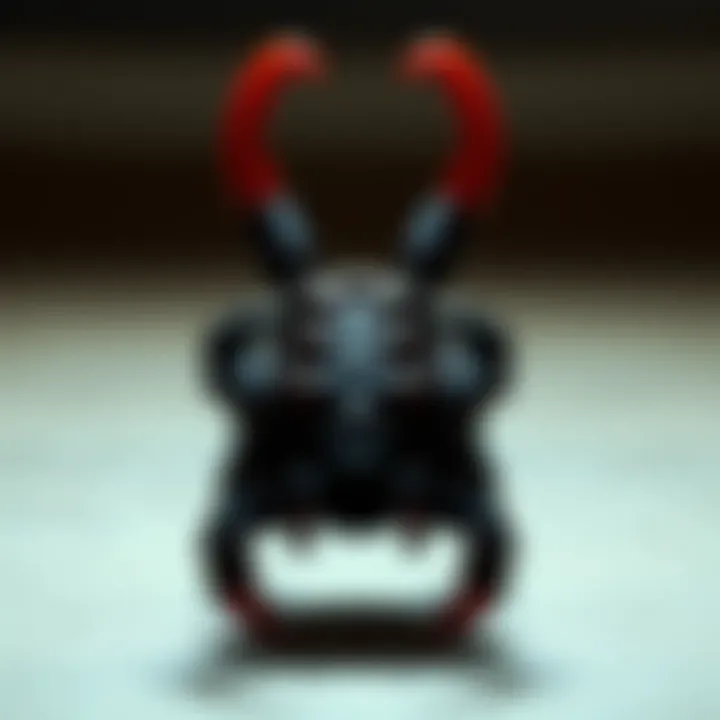 The Massive Claw Clip: A Comprehensive Guide Introduction