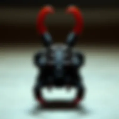 The Massive Claw Clip: A Comprehensive Guide Introduction The Massive Claw Clip: A Comprehensive Guide Introduction
