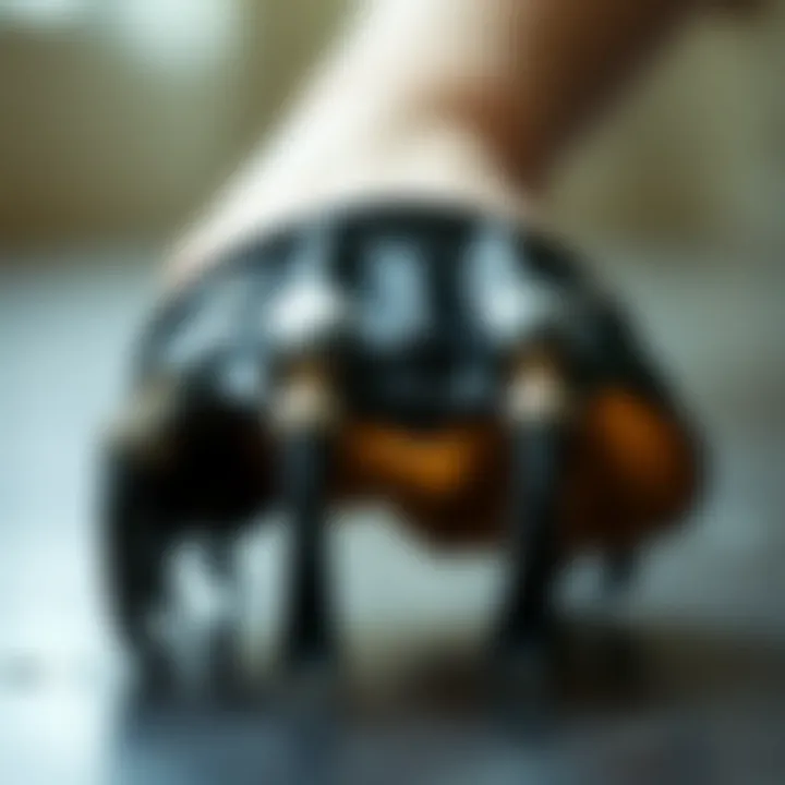 Notable The Massive Claw Clip: A Comprehensive Guide