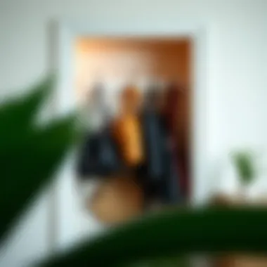 Modern closet door hook rack showcasing a variety of bags