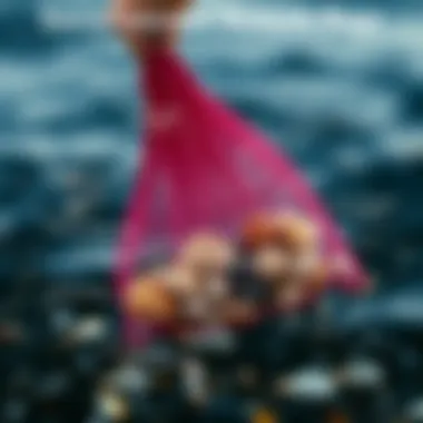 An infographic illustrating the environmental benefits of using mesh bags