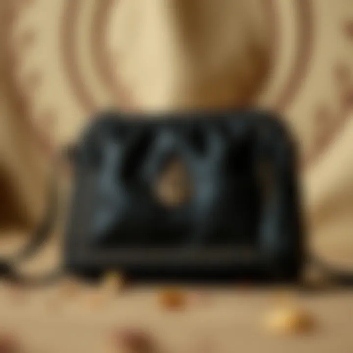 The Renaissance Purse: A Comprehensive Exploration Summary