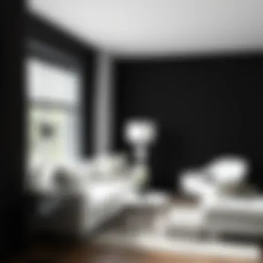 The Versatility of Black Self-Adhesive Wallpaper in Modern Design Summary The Versatility of Black Self-Adhesive Wallpaper in Modern Design Summary