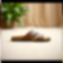 Stylish brown slide sandals displayed on a neutral background