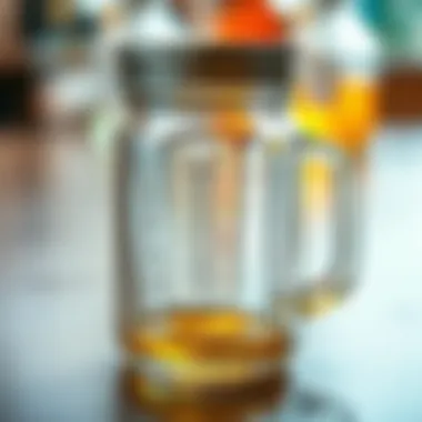 Notable The Versatility of Mason Glasses with Handles Notable The Versatility of Mason Glasses with Handles