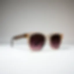 Sleek acrylic frame sunglasses on a minimalist background