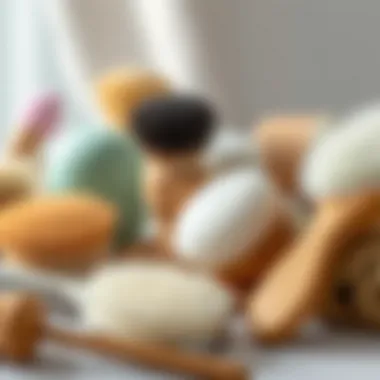 Diverse Materials for Exfoliating Brushes An array of exfoliating body brushes made from various materials