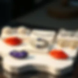 Elegant display of various vertical labret lip jewelry pieces showcasing unique designs.