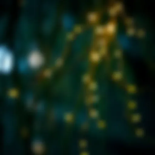 Willow branches intertwined with delicate fairy lights