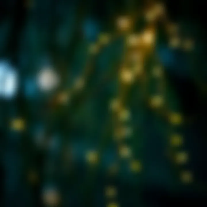 Willow branches intertwined with delicate fairy lights